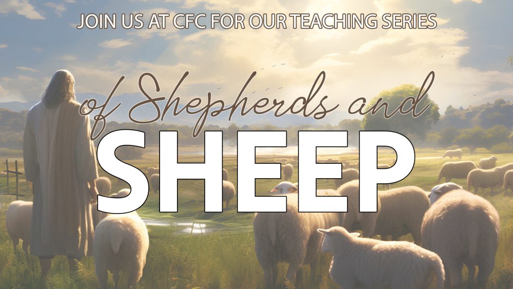 Of Shepherds and Sheep